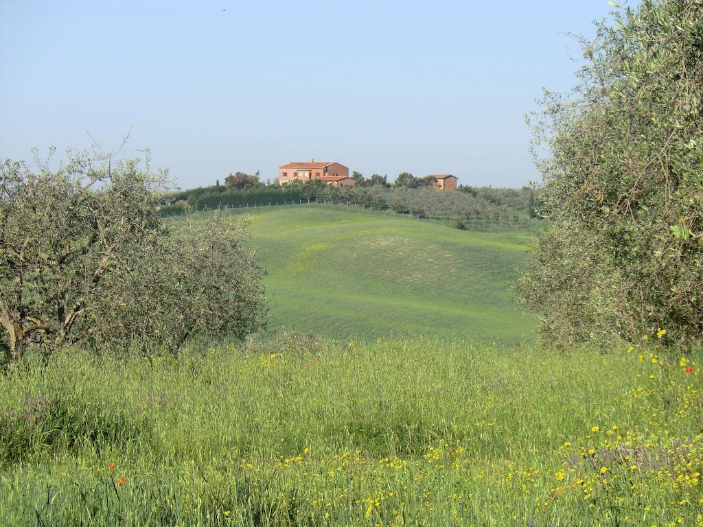 Agriturismo Podernuovo أسكيانو المظهر الخارجي الصورة