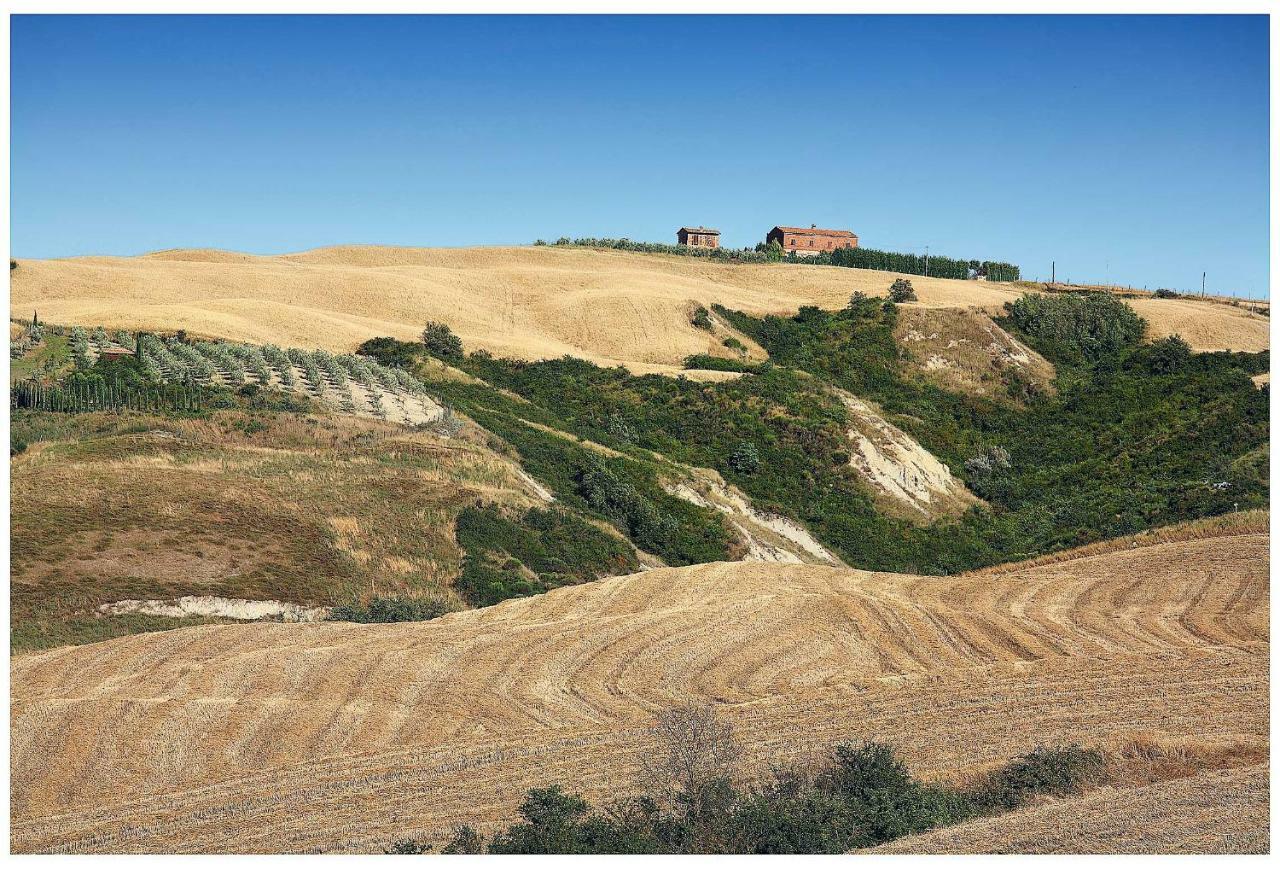 Agriturismo Podernuovo أسكيانو المظهر الخارجي الصورة